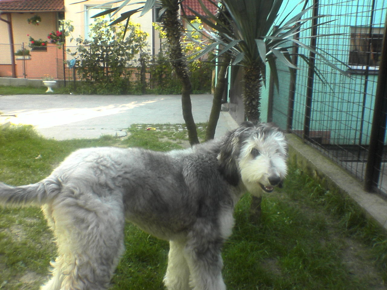 Berenička 3