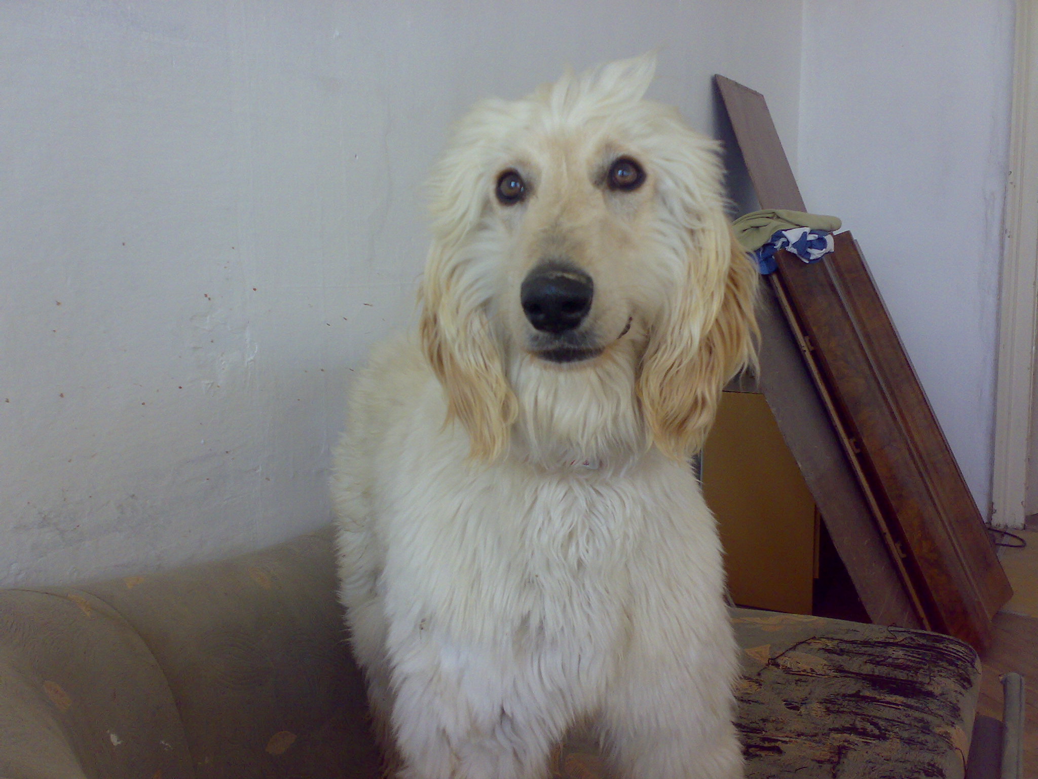 Edie 0