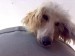 Edie 1